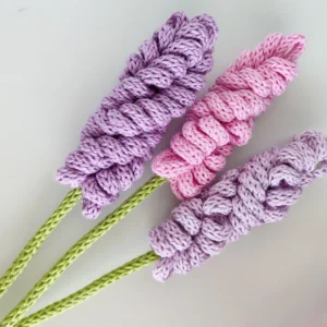 singola lavanda