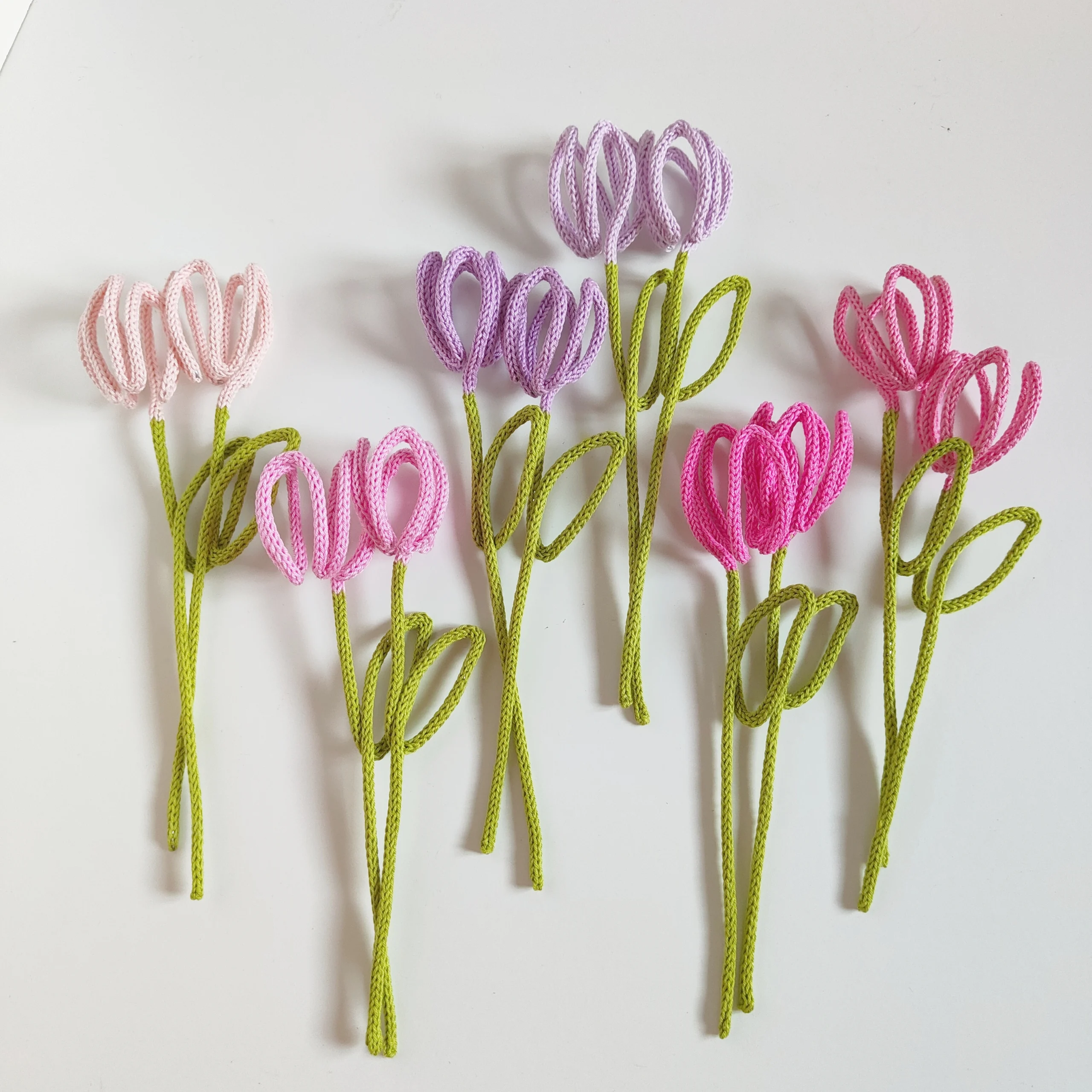 tulipani cod 008