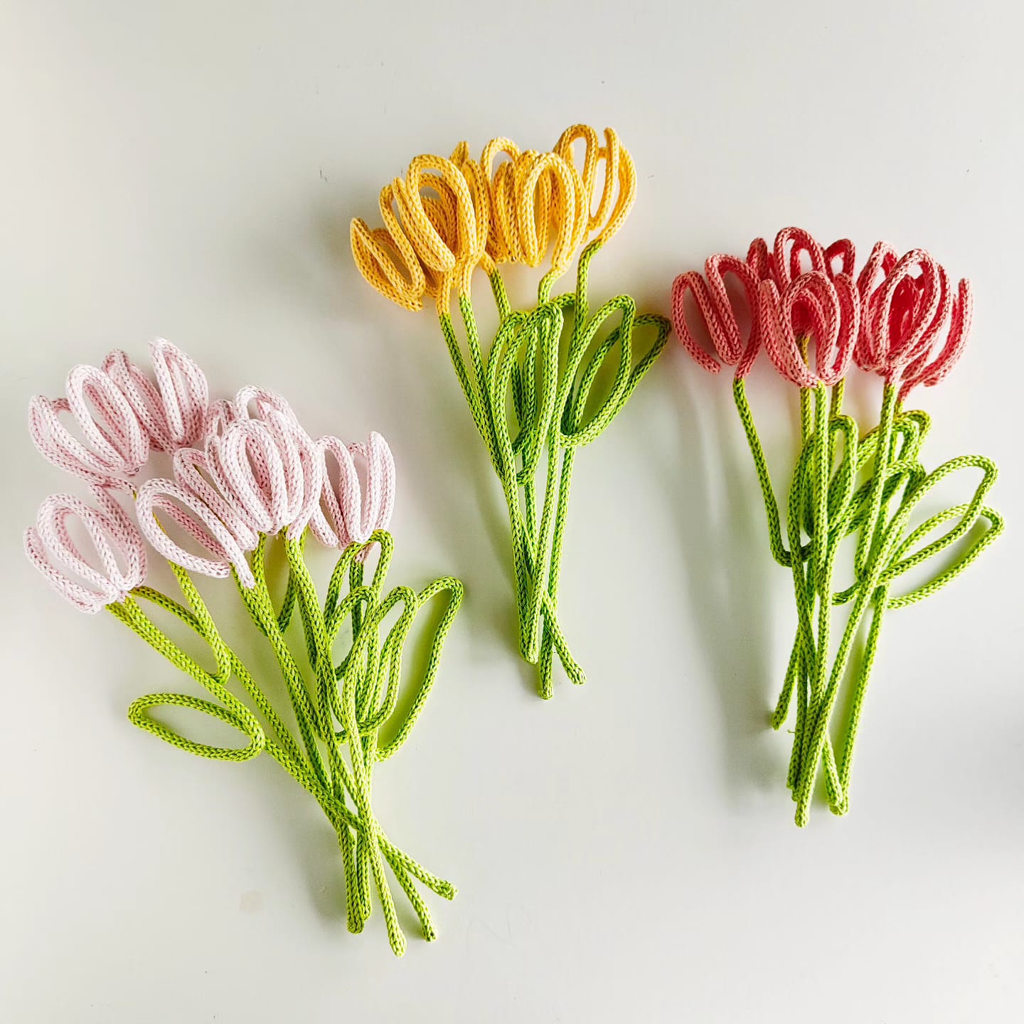 tulipani colorati